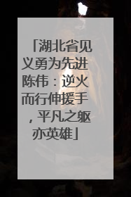 湖北省见义勇为先进陈伟：逆火而行伸援手，平凡之躯亦英雄